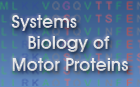 Motorprotein.de