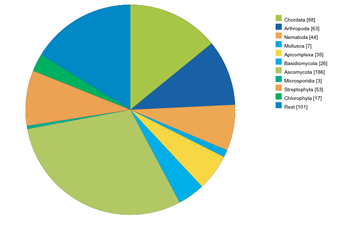 Sequencing Stats View