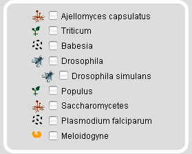 Search Species Groups