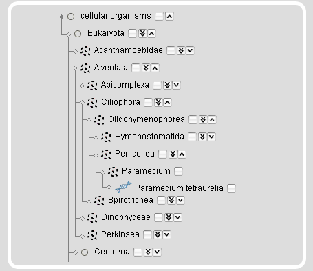 Search Taxonomy