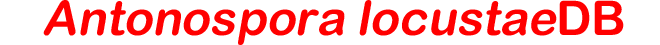 Genomes_antonosporadb
