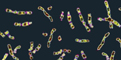 1000 Genomes