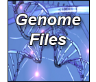 Search Genome File